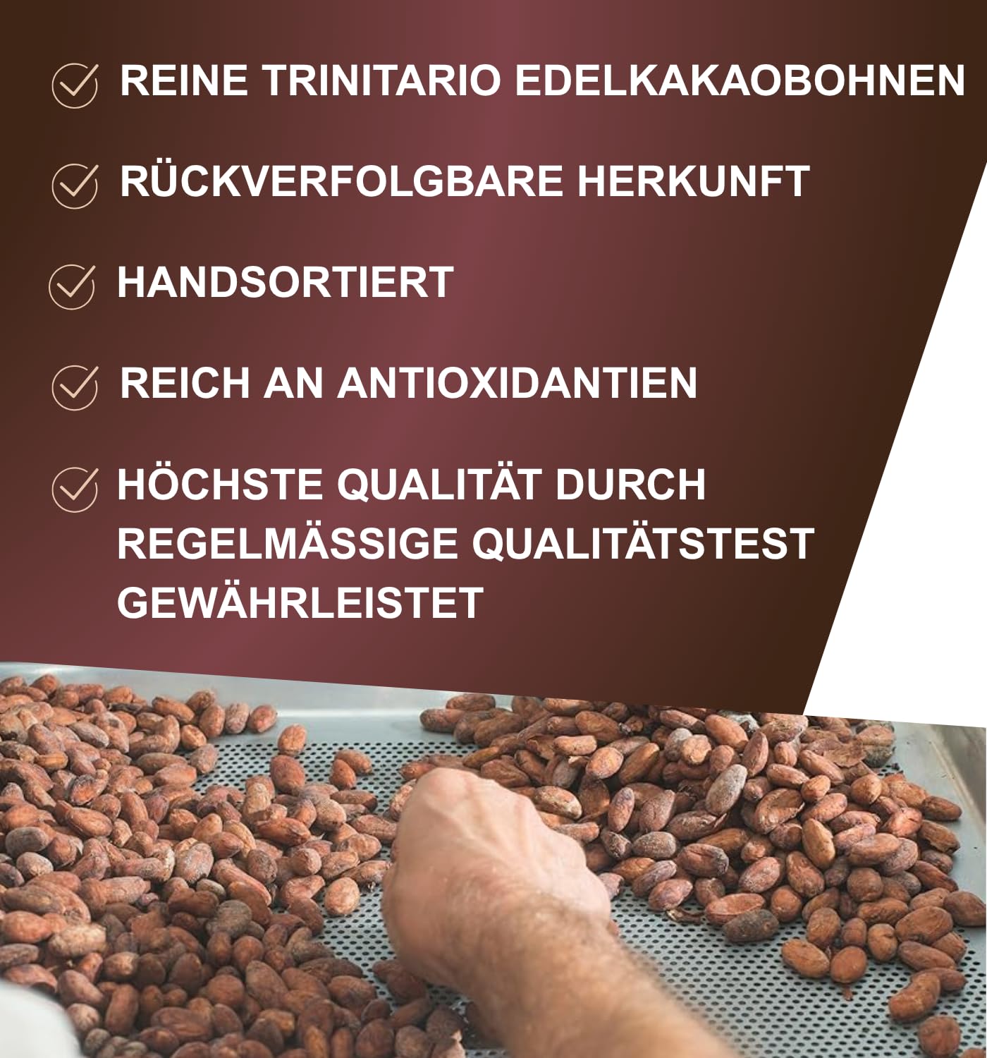 Edelmond Rohkost Kakaobohnen Bio 750 g Fairtrade-Zertifiziert Low Cadmium
