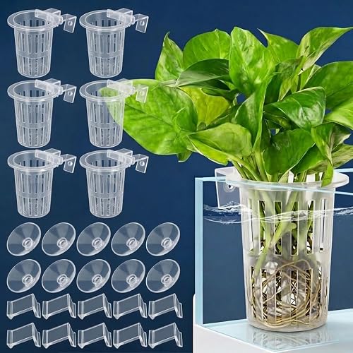 EAAGHK 45PCS Kits de Soportes para Plantas de Acuario