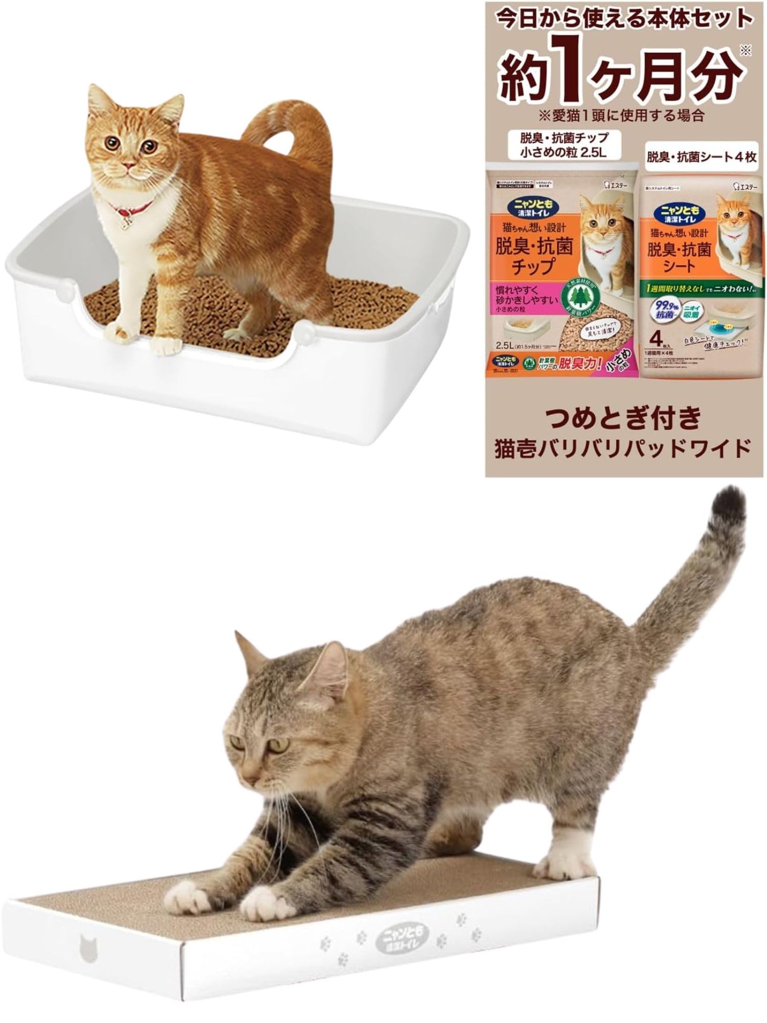 猫ちゃんのトイレセットですほぼ未使用 Amazon | ニャンとも清潔トイレ [猫壱コラボ] 猫 トイレ 本体セット