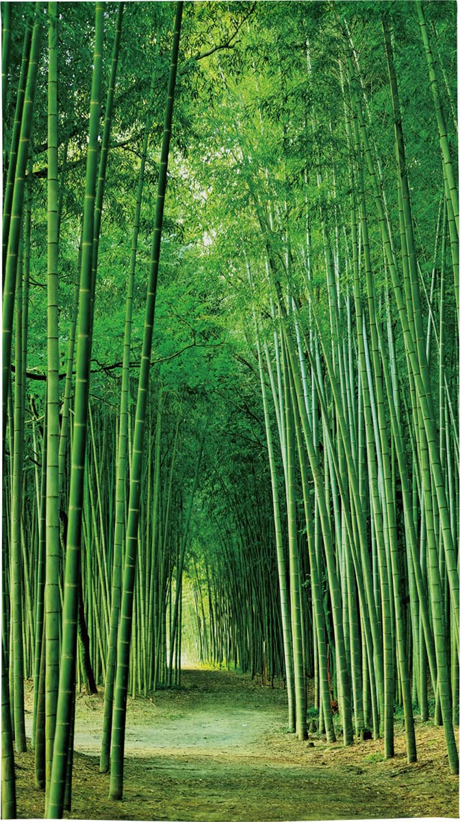 Amazon.co.jp: のれん工房 のれん 風景 景色 緑 タペストリー ポスター