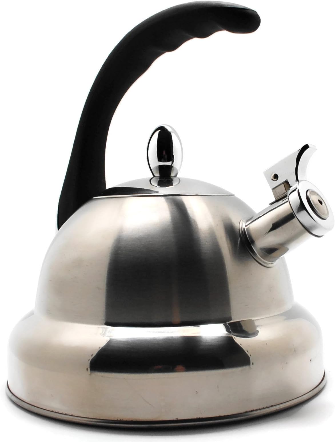 Stainless Steel Whistling Tea Kettle with Spring Tea Infuser