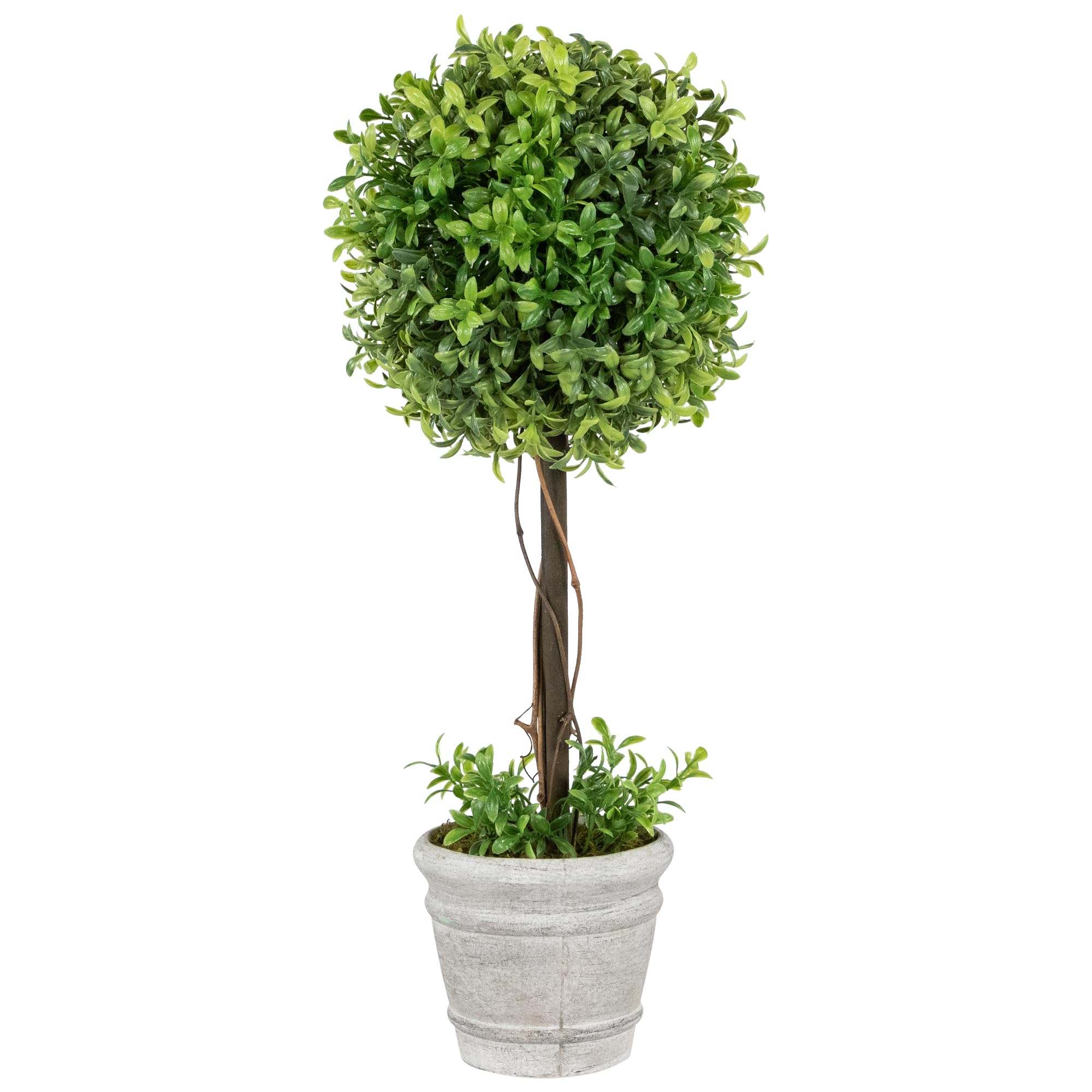 Northlight Artificial Boxwood Topiary in Decorative Distressed Gray Paper Mache Pot, 17