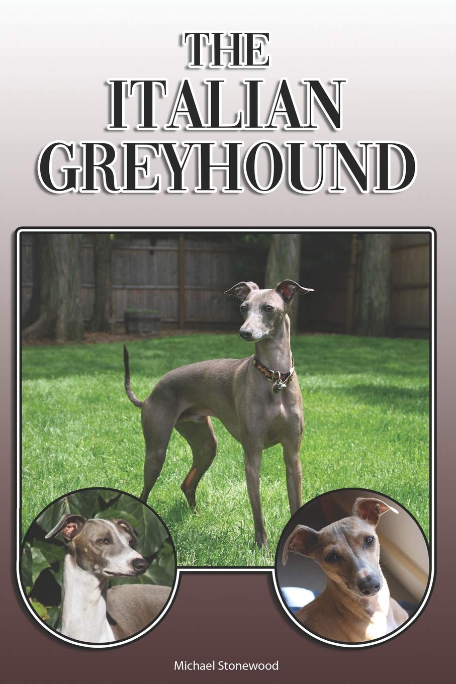 The Italian Greyhound: A Complete and Comprehensive Owners Guide to: Buying, Owning, Health, Grooming, Training, Obedience, Understanding and Caring for Your Italian Greyhound