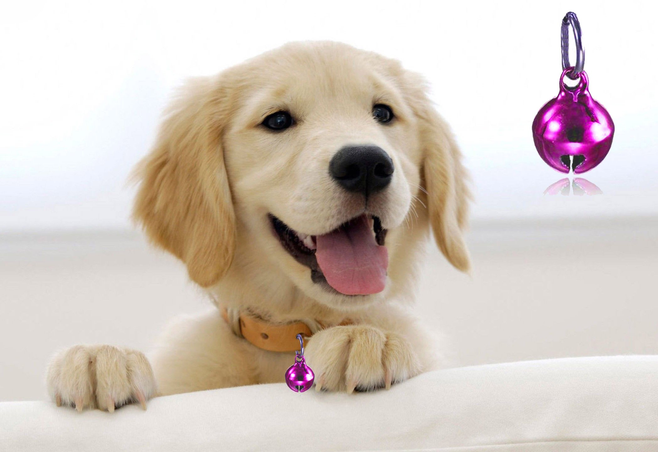 Bell Collar Tag Cum Pendant Cum Collar Accessory for Dog/Puppy/Kitten/Cat (Pink) (B07DN1MVBJ) Amazon Price History, Amazon Price Tracker
