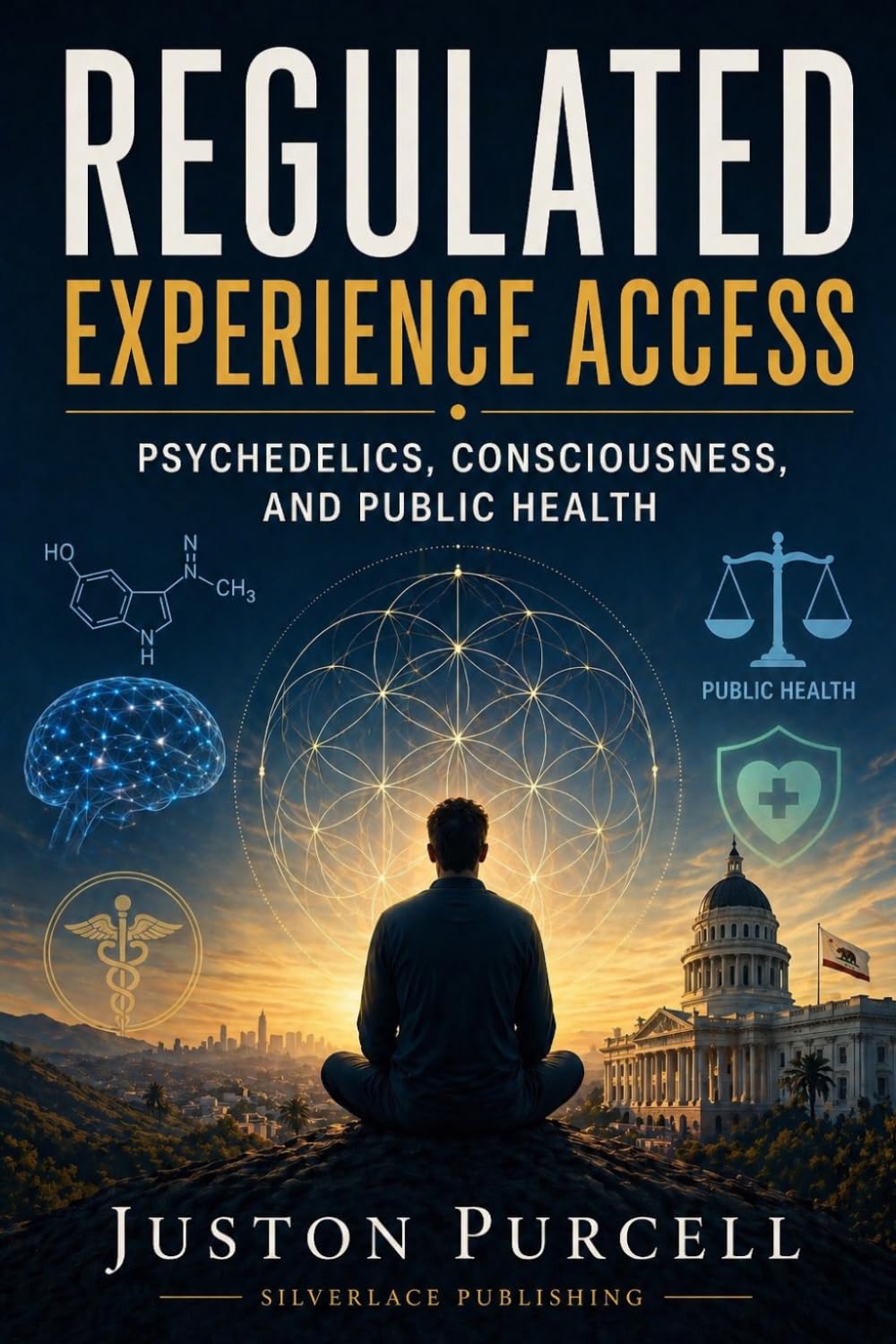 Regulated Experience Access: Psychedelics, Consciousness, and the Next Framework for Mental Health Policy