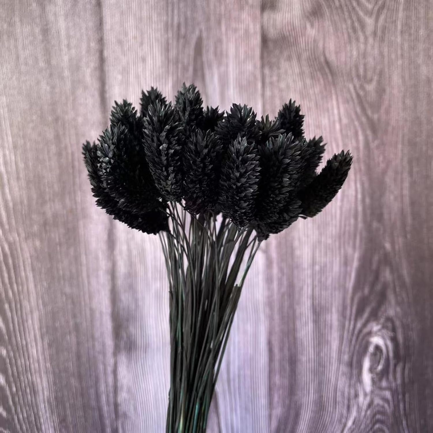 Pampas Grass,40Pcs 35cm Long,Real Natural Dry Plant Beauty