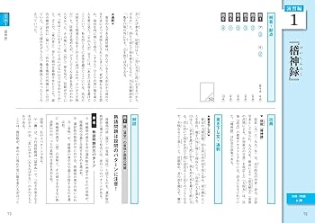 大学入試 全レベル問題集 漢文 Ⅰ 基礎レベル | 三羽 邦美 |本