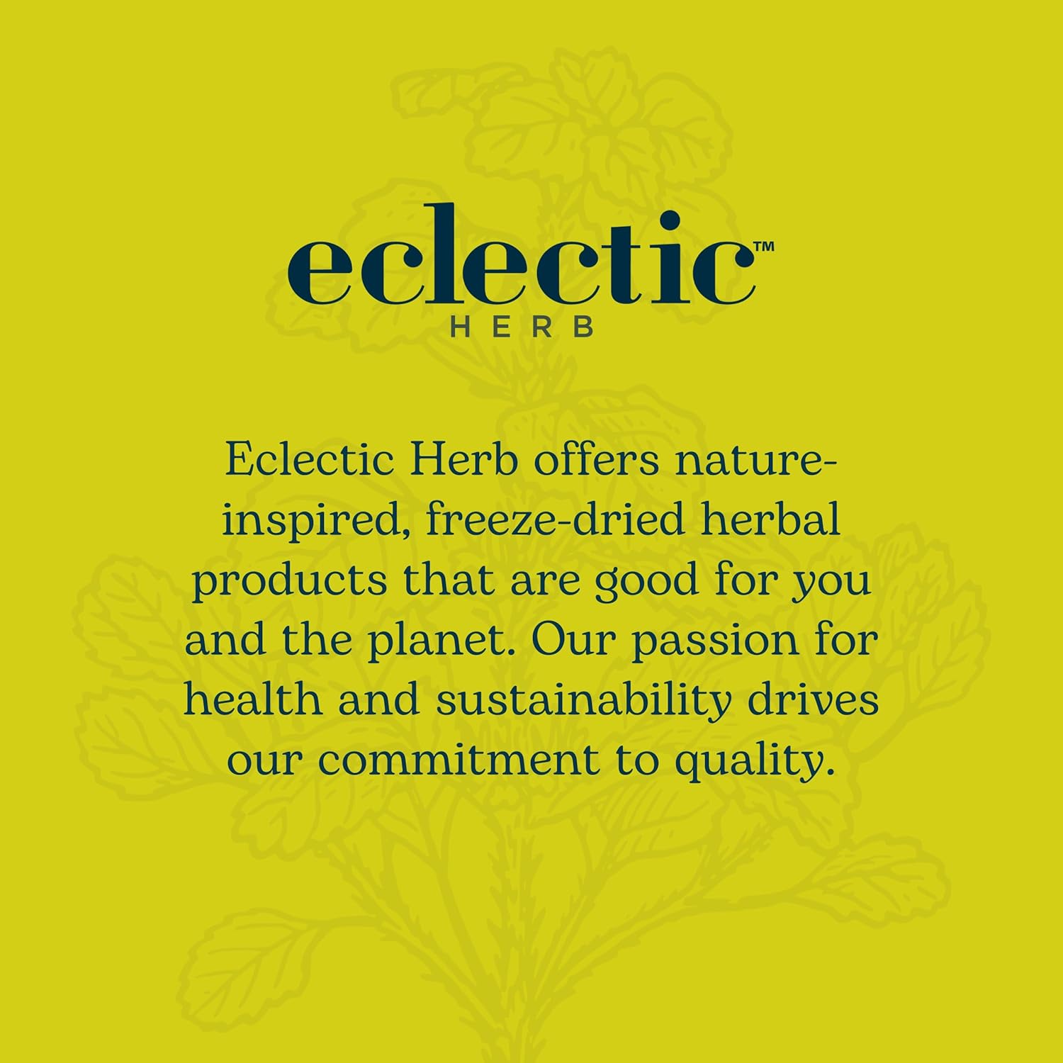 Eclectic Herb - Lomatium Isolate Glycerite | Natural Herbal Supplement | Immune & Lung Support | Highly Concentrated, Alcohol-Free, Organic, Vegan, Non-GMO, Gluten Free (0.27 fl oz | 8 ml)