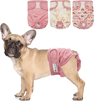BELLA & PAL Dog Nappies Female, Reusable Dogs Period Pants in Season, Washable Doggy Diapers Sanitary Wraps Panties for Small Medium Dogs, Incontinence Super Absorbent Dog Heat Pants, 3 Packs, M