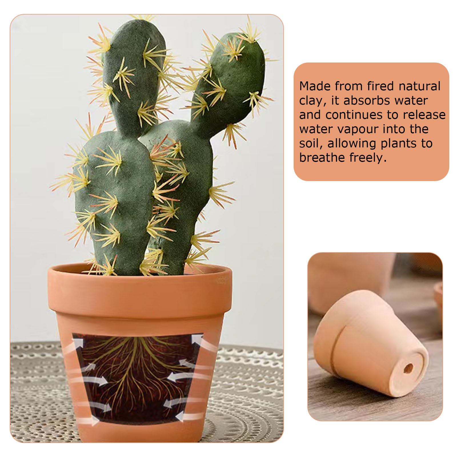 Pots De Fleurs En Terre Cuite Peu Profonde De 20,3 Cm Avec Plateaux En Bambou, Pots De Fleurs En