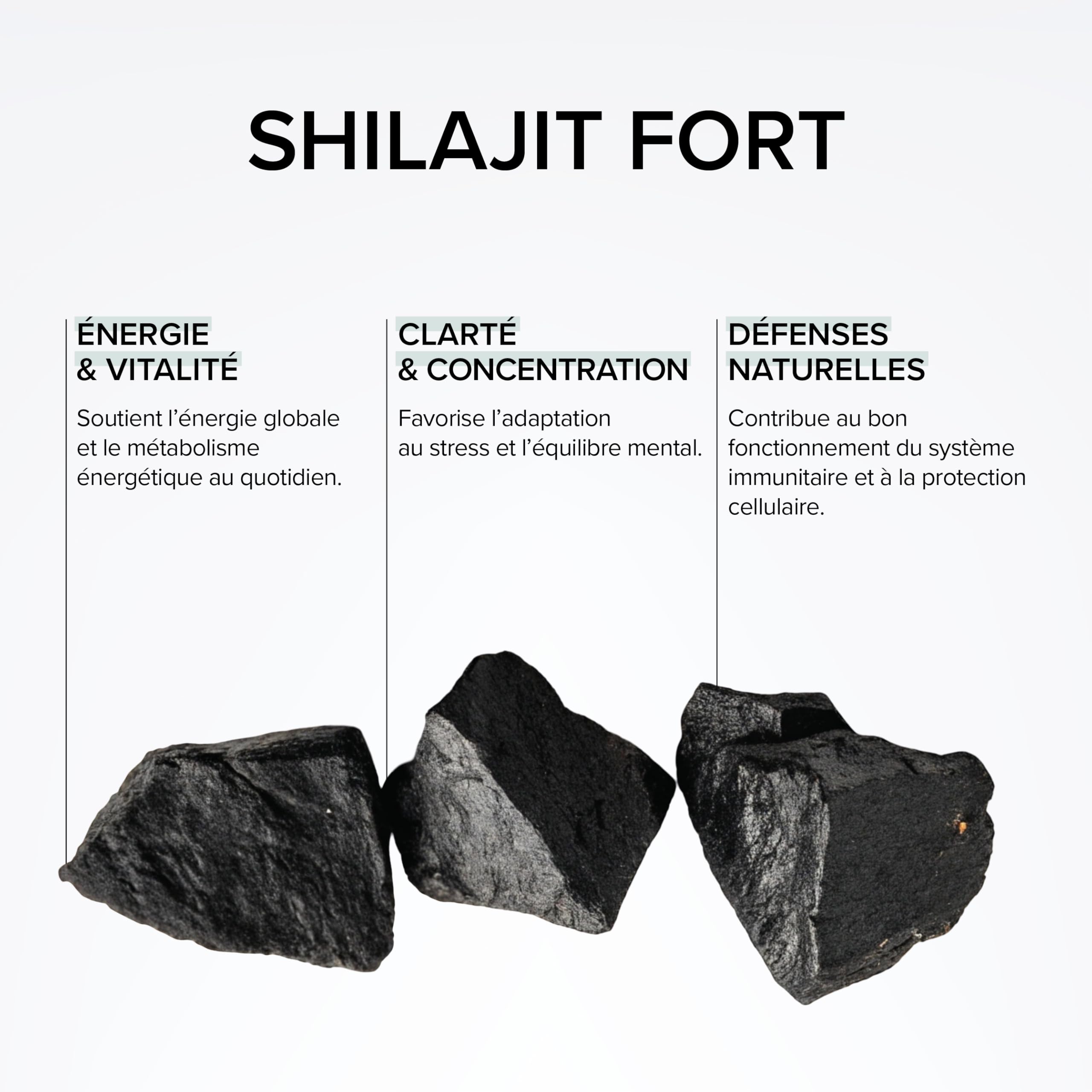 Shilajit Pur d’Himalaya Haut Dosage 1500mg – 60% Acides Fulviques – Complément Alimentaire Énergie, Vitalité – Vegan, sans Lactose, sans Gluten – Cure 3 Mois – 90 Gélules Végétales – Beyond Elements