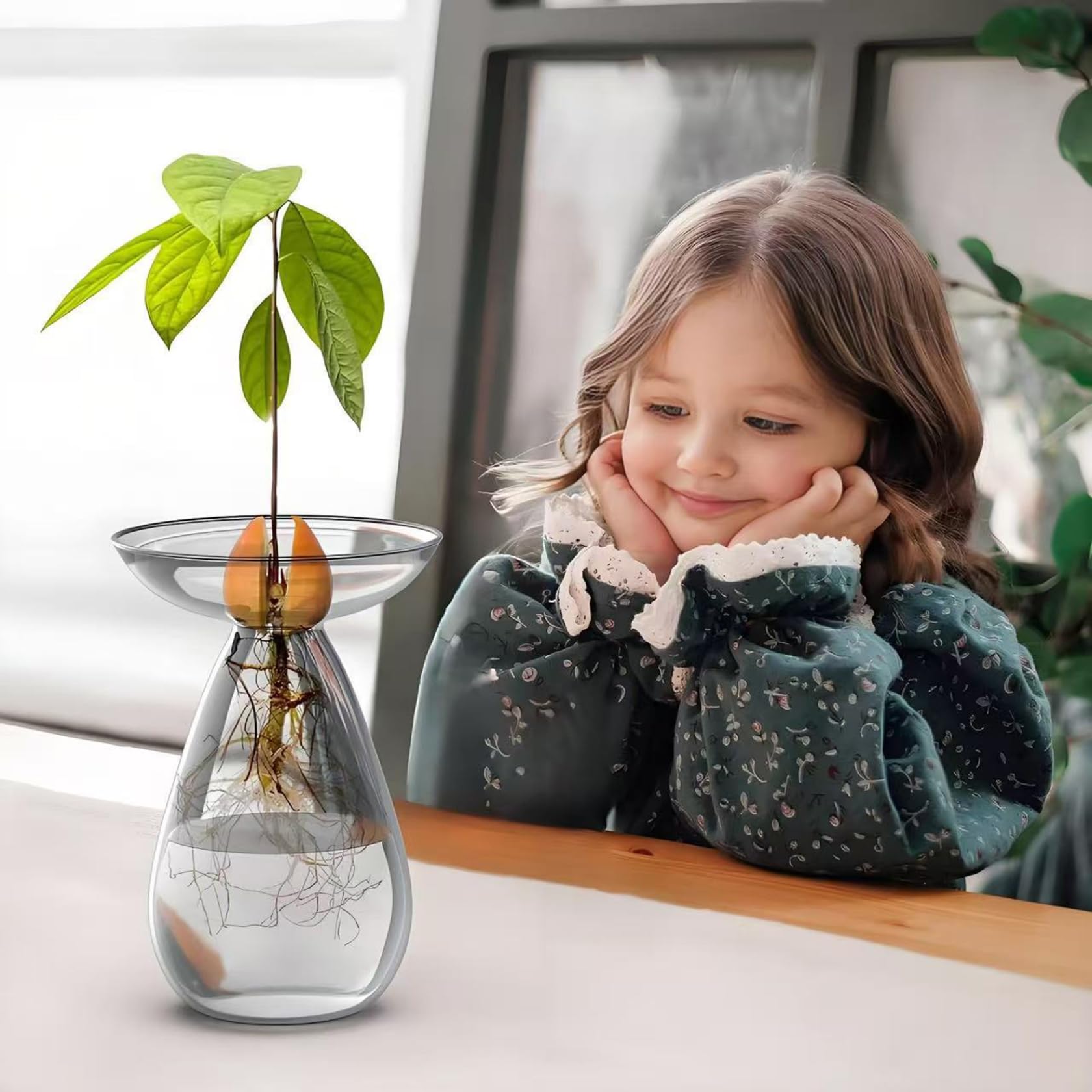 Macetas transparentes para plantas, florero de cristal transparente para semillas de aguacate, macetero para plantas hidropónicas, kit de cultivo de árboles pequeños para decoración de interiores, ho