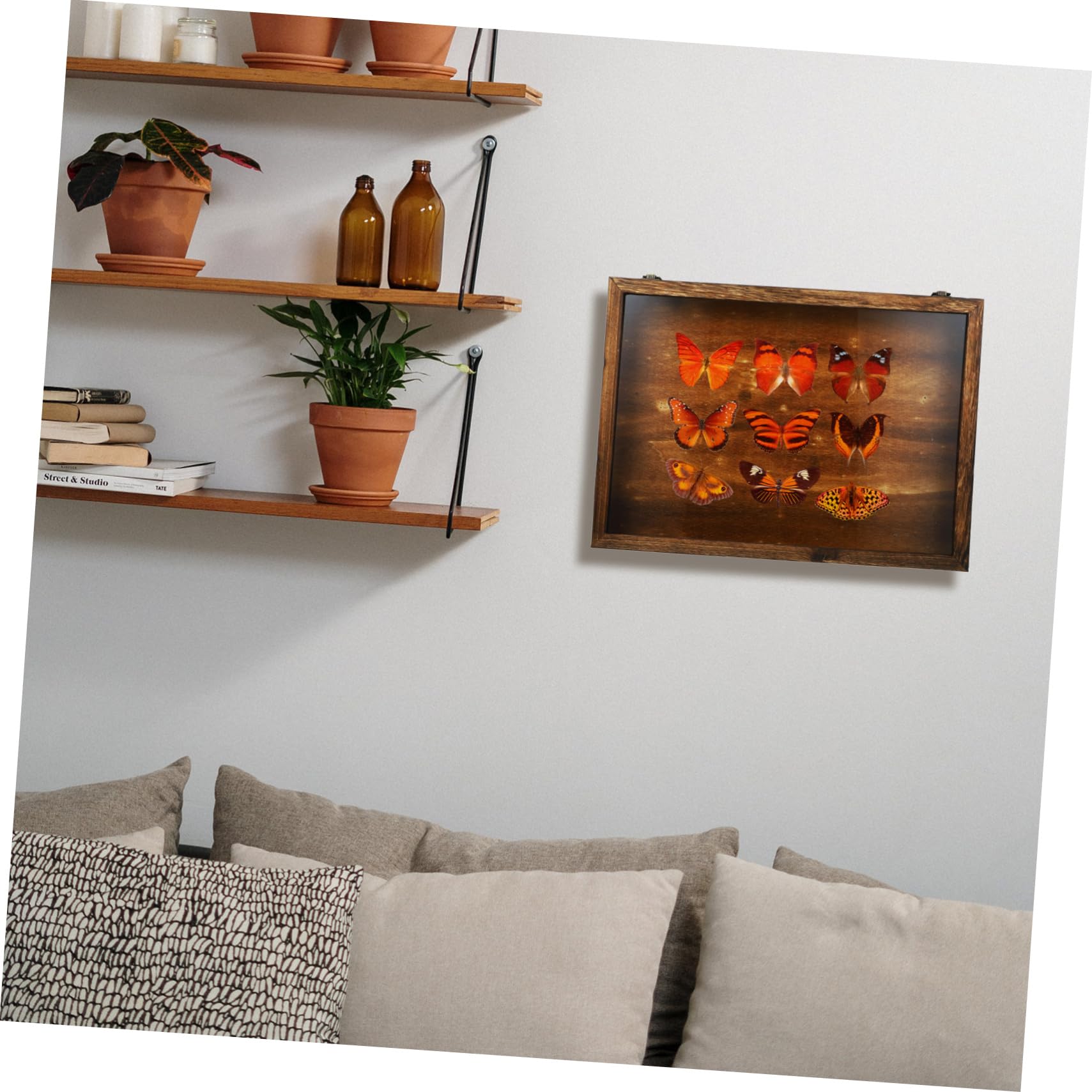 Ciieeo Vetrina e Conservazione Marrone in Legno per Insetti Scatola Vintage con Coperchio Trasparente per Esposizione di Campioni e Gioielli da Parete