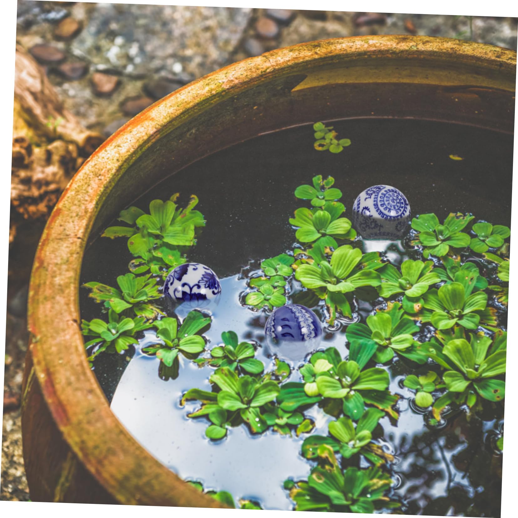 IMIKEYA 5 Sätze Schwimmkugel Aus Keramik Schwimmende Pflanze Dekorationen Für Aquarien Bezauberndes Aquarium-Ornament Betta-Panzer Rattankugeln Dekorative Schale Knospenvasen 3 Stück * 5