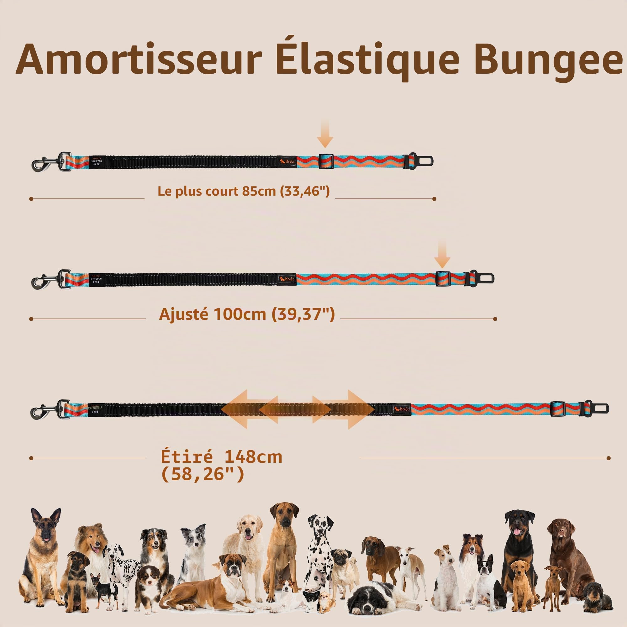 AYADA Ceinture Chien Voiture Securite Réglable Nylon Elastique Antichoc,Attache Chien Voiture Voyage Indéchirable Harnais Chat Animaux Compagnie Laisse Agrafe Métal Accessoires Mousqueton (Bleu Ciel)
