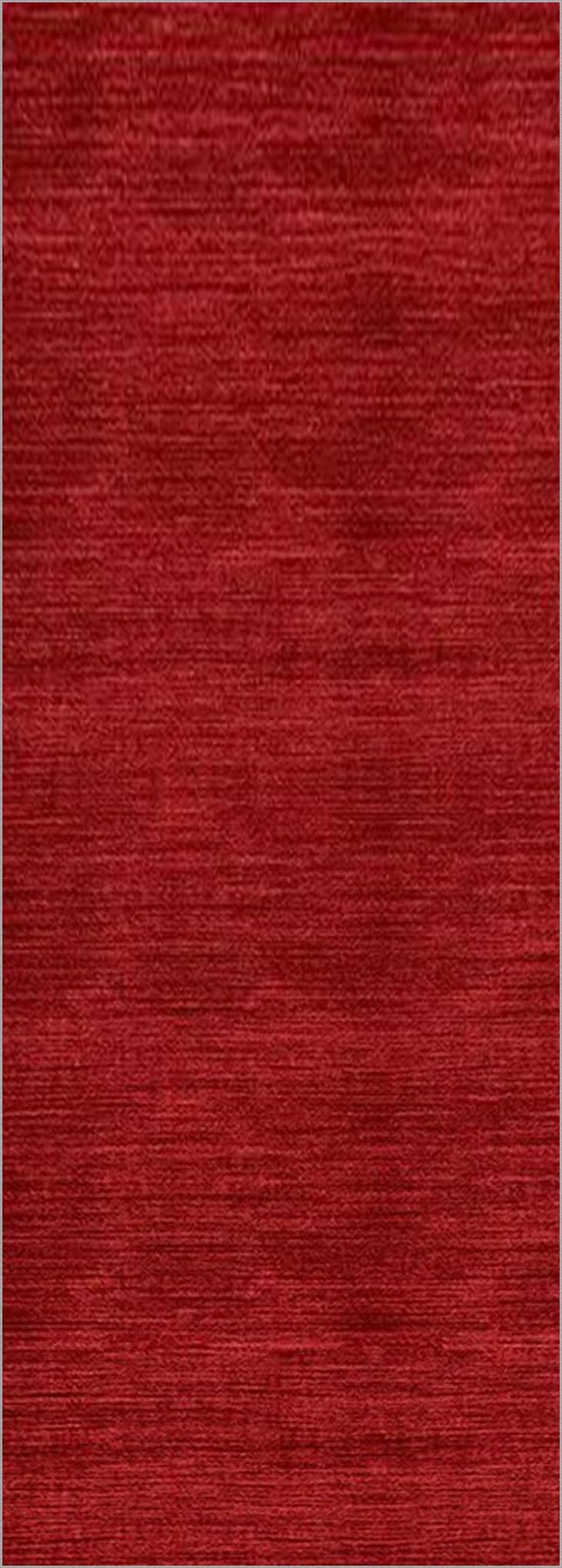 Tapis de Couloir Lavable 100 x 260 cm, antidérapant, pour Cuisine, Salon, Couloir, entrée et Portes d'entrée.
