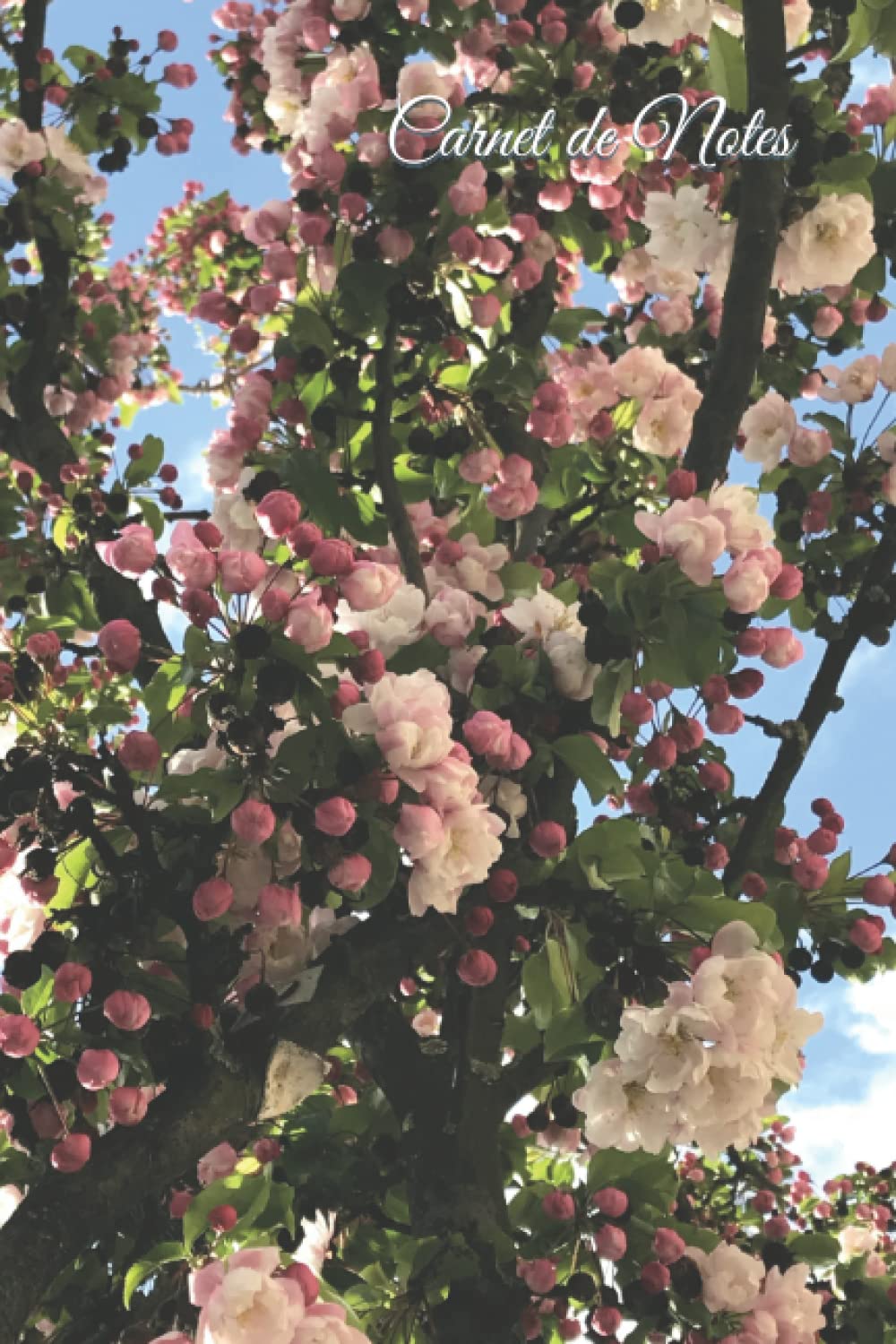 Carnet de Notes: cahier fleurs printanières roses - arbre en fleurs - force de l'éveil de la nature - 120 pages avec lignes