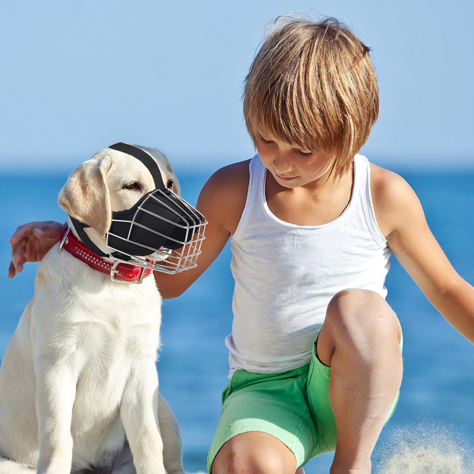 PETCUTE Muselière pour Chien Métal,Museliere Anti Aboiement Anti-Morsure,Muselière Panier en Métal pour Chiens avec Sangles Réglables,Durable,Museliere pour Petits, Moyens Et Grands Chiens,M