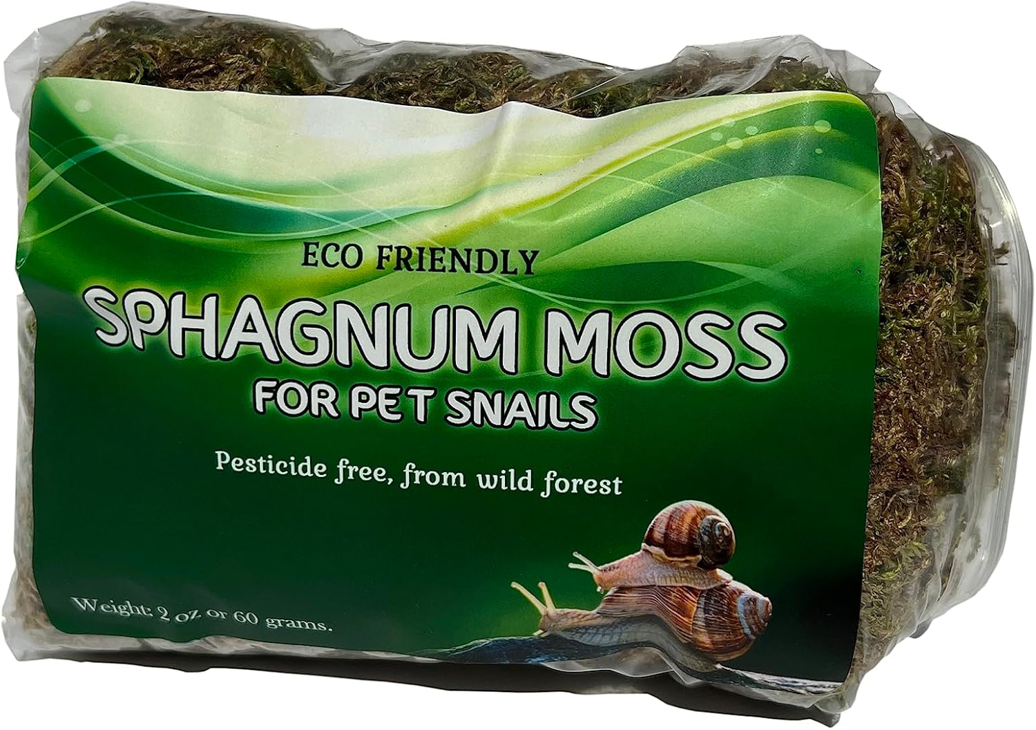 Land Snail Terrarium Kit + 50% Discount for Live Snails | Pet Snails Vivarium Snailarium Completed Pack for Small Snail: Helix Aspersa, Otala Lactea (Milk Snail) etc