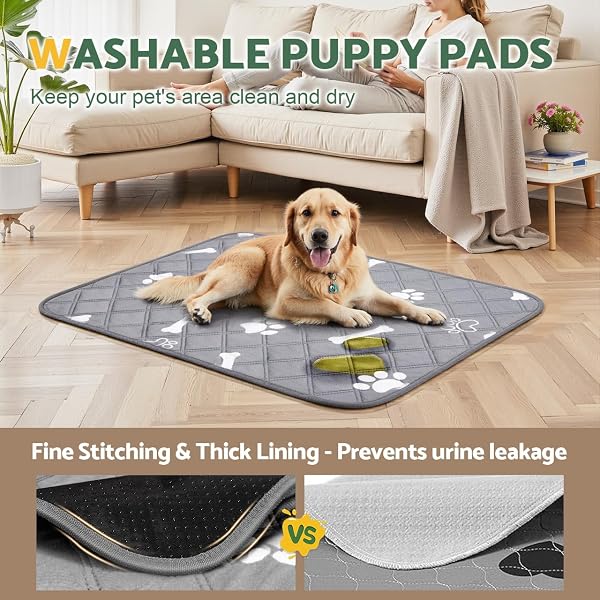 Gimars 2 Pieces 【100×70cm】Washable Dog Mats, Reusable Training Mat, Absorbent, Anti-Slip and Leak Proof, Ideal for Cats, Dogs, Rabbits and Guinea Pigs - 2