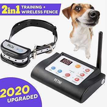 wifi dog training collar