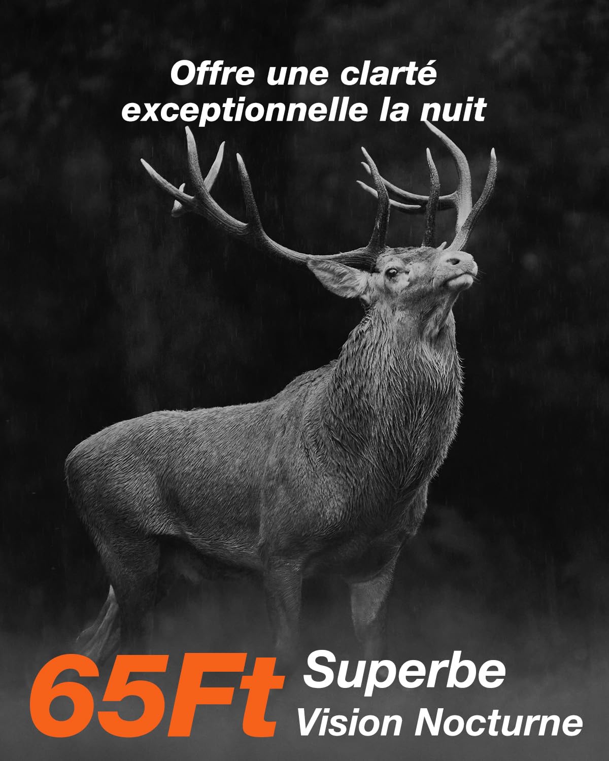 iZEEKER Solaire Caméra de Chasse 4K 64MP WiFi 6 Bluetooth avec 5200mAh Batterie Rechargeable, 0,1s Déclenchement, Camera Chasse Vision Nocturne IR Détection Mouvement, IP66 Étanche