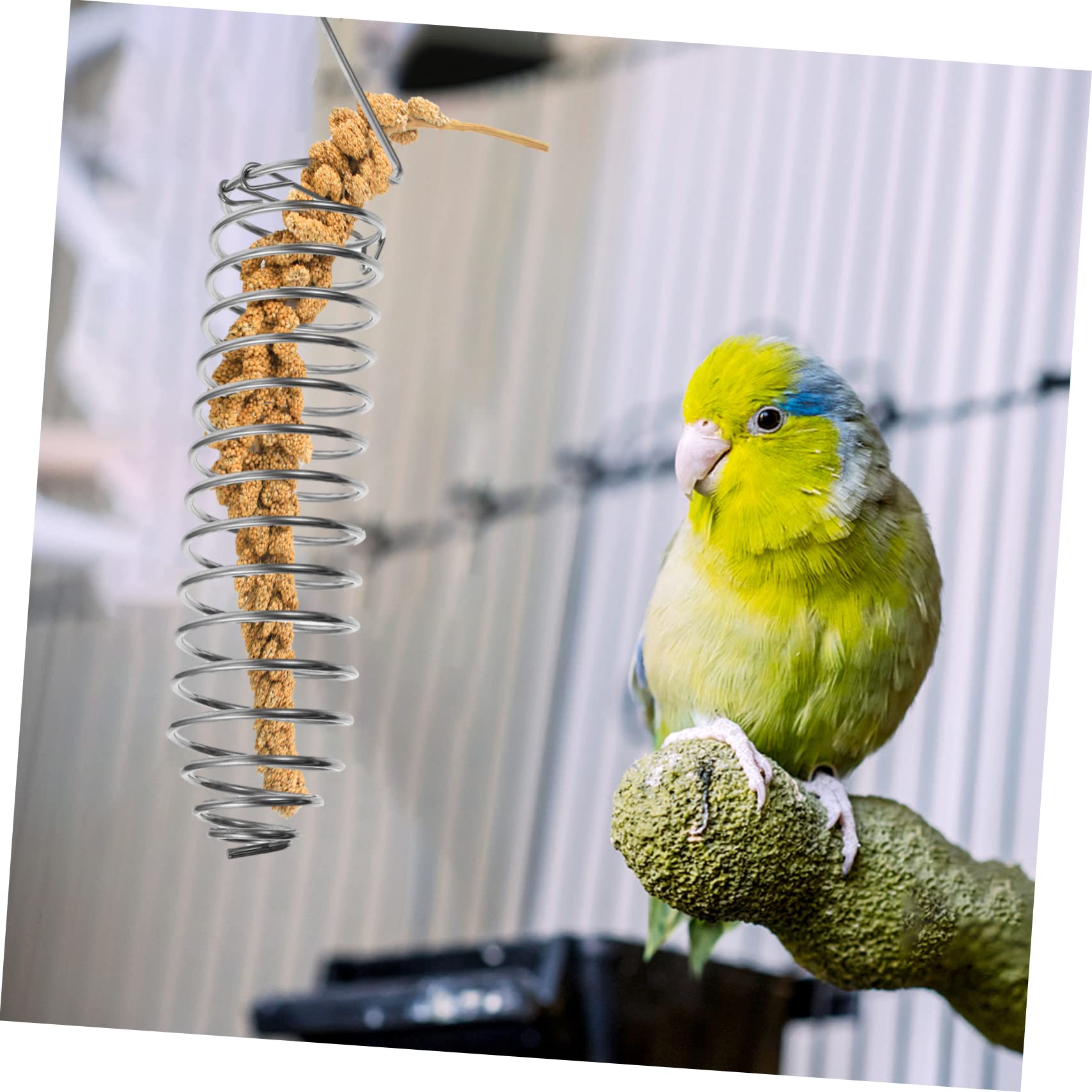 Hohopeti 3pezzi Mangiatoia Per Uccelli Acciaio Inossidabile Con Sicurezza Per Pappagalli e Uccelli Piccoli Dispositivo Di Alimentazione Leggero e Facile Da Trasportare Per Uso Quotidiano