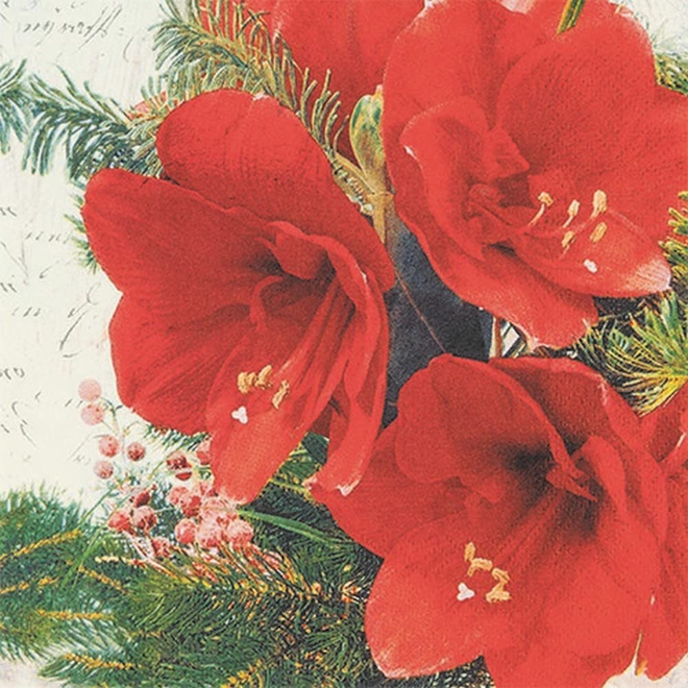 20 Servietten 'Rote Amaryllis Blüten' – 33x33 Cm, 3-lagig, Winter & Weihnachten Tischdeko, Auch Für Decoupage