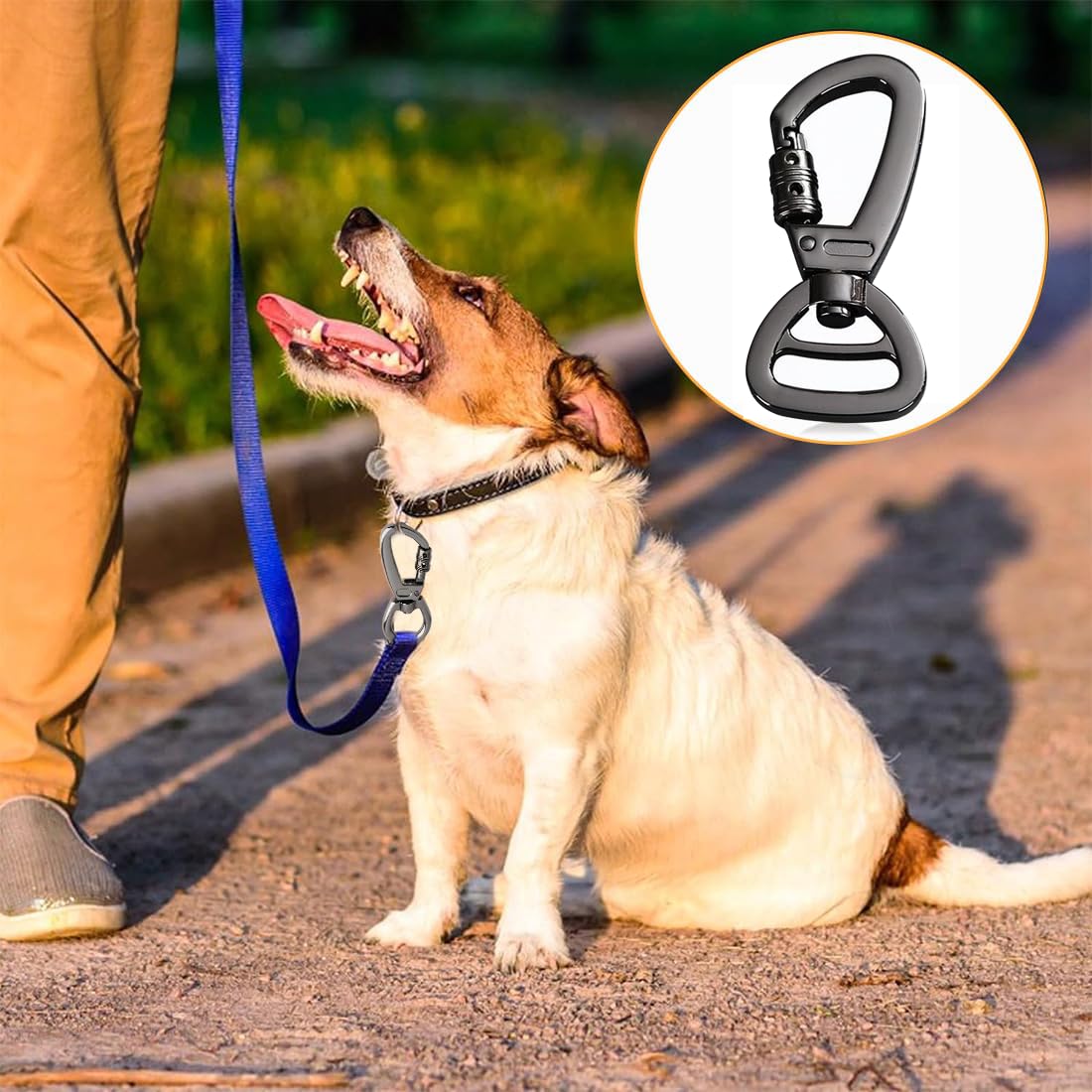 2 PCS Moschettone per Guinzaglio per Cani, Ganci Portachiavi, Moschettoni Forma D in Acciaio Inox, Utilizzati per Alpinismo, Moschettone in Acciaio 60 mm da Utilizzare con Guinzaglio Paracord