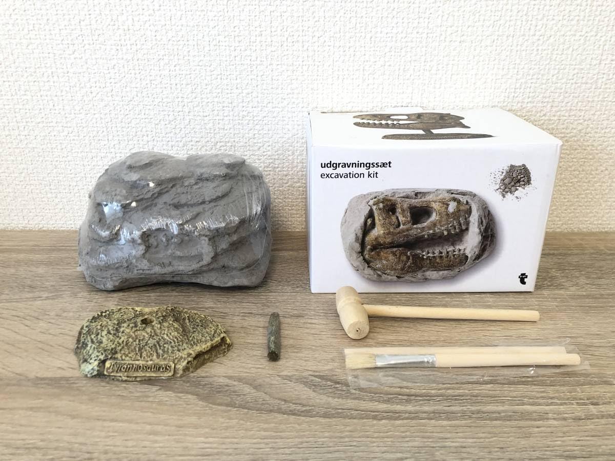 発掘品　置き物 Amazon | 恐竜 化石 発掘 キット udgravningsst excavation kit