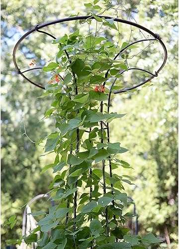 Miniatura 2 de Oakestry Enrejado de hongos de 72 pulgadas para plantas trepadoras al aire libre, marco de jardín vertical para vides, césped, pilones, enrejado,