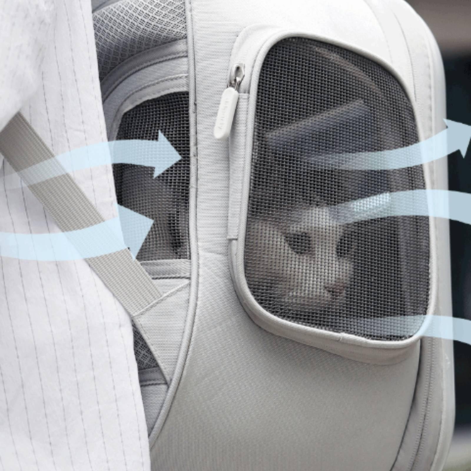 tín para Mascotas Mochila para Pequeño Portador Rígido Ventana te Ventilación Estructura Estable Material EVA Adecuado para Viajes al Veterinario Paseos al Aire Libre, Gris Claro