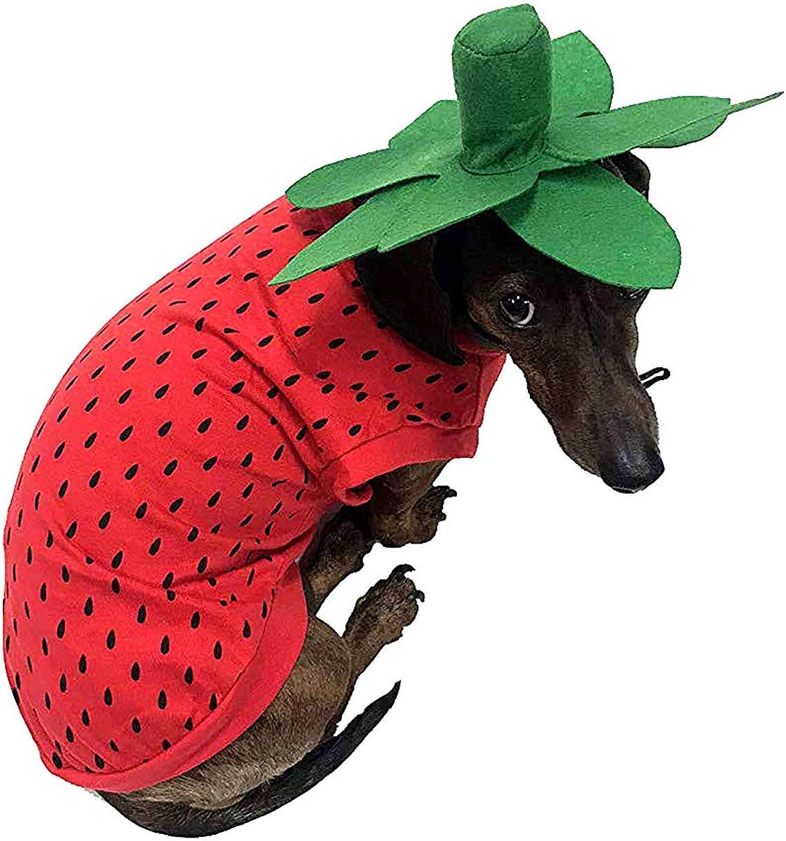 Strawberry dress for dogs Clearance