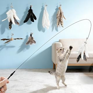VavoPaw 6-in-1 Interaktiv Katzenspielzeug