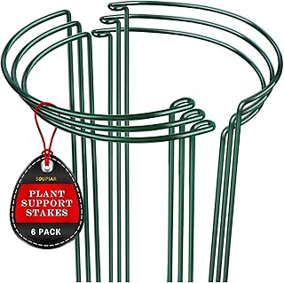 Plant Support Stakes (6-Pack)