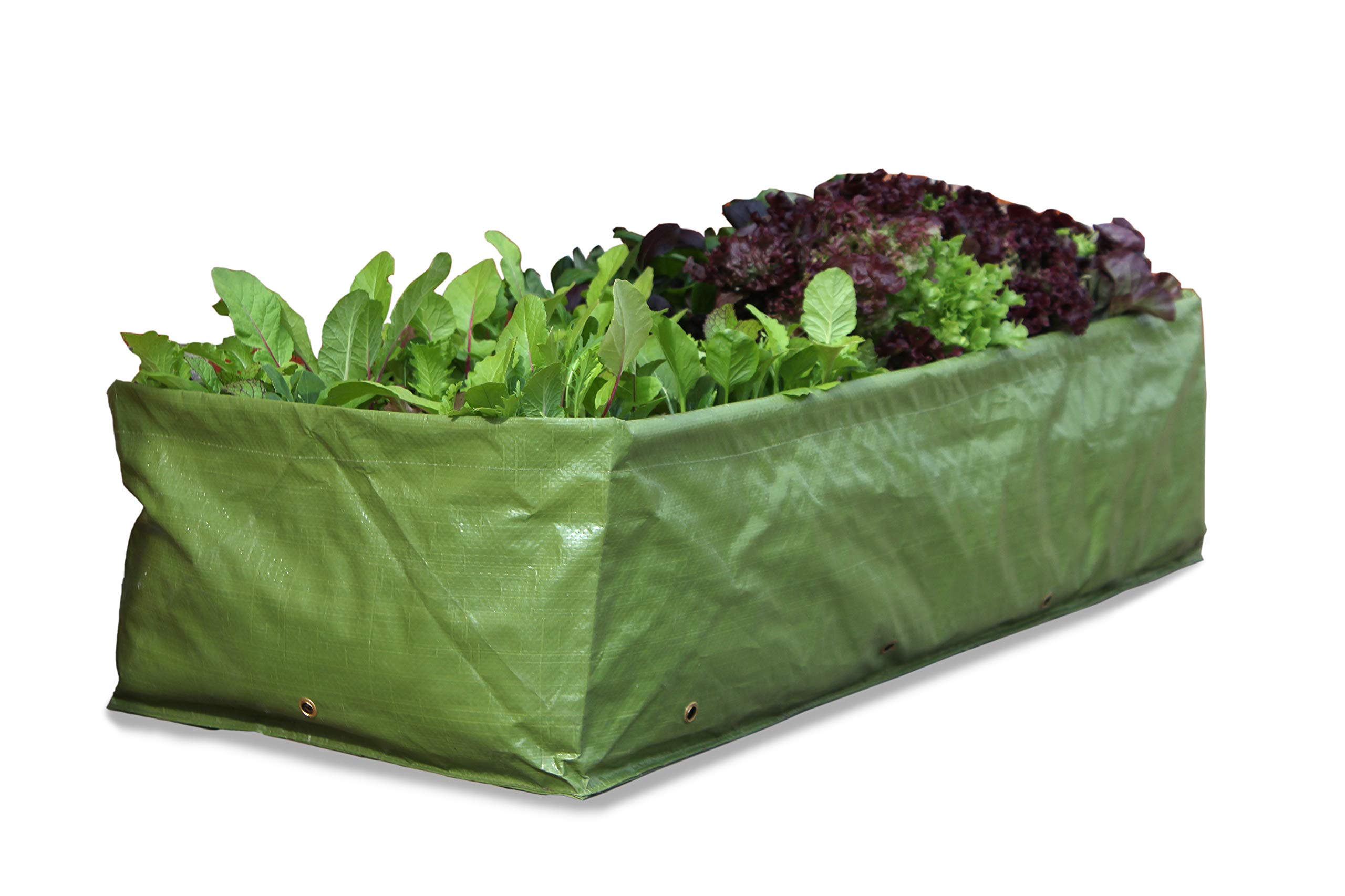Update more than 155 vegetable grow bags homebase best esthdonghoadian