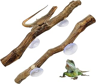 Reptile Wood Decor Natural Forest Branch Terrarium Climb Corner Tree Branch Background Decoration Plant Decoration with Suction Cup for Snake Lizard and Leopard Gecko 2PCS