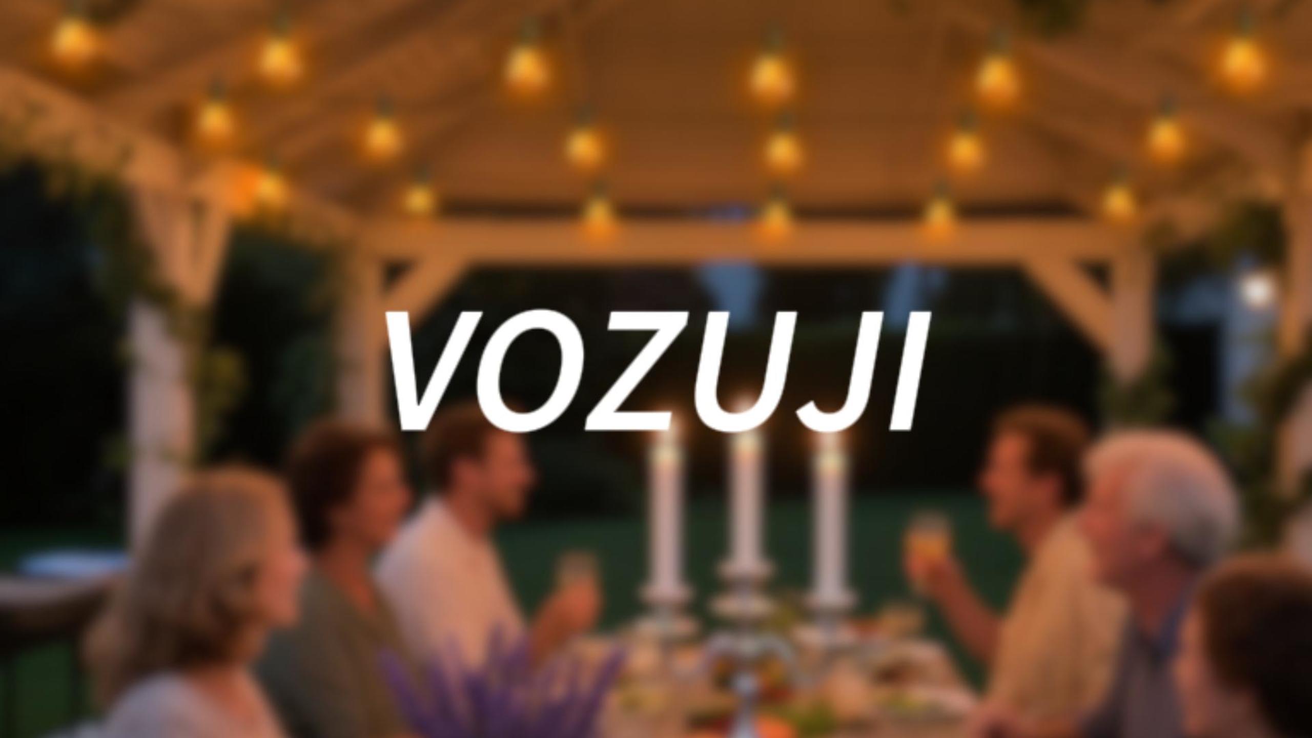 VOZUJI Outdoor Patio String Lights: 100Ft 30M Outside Waterproof