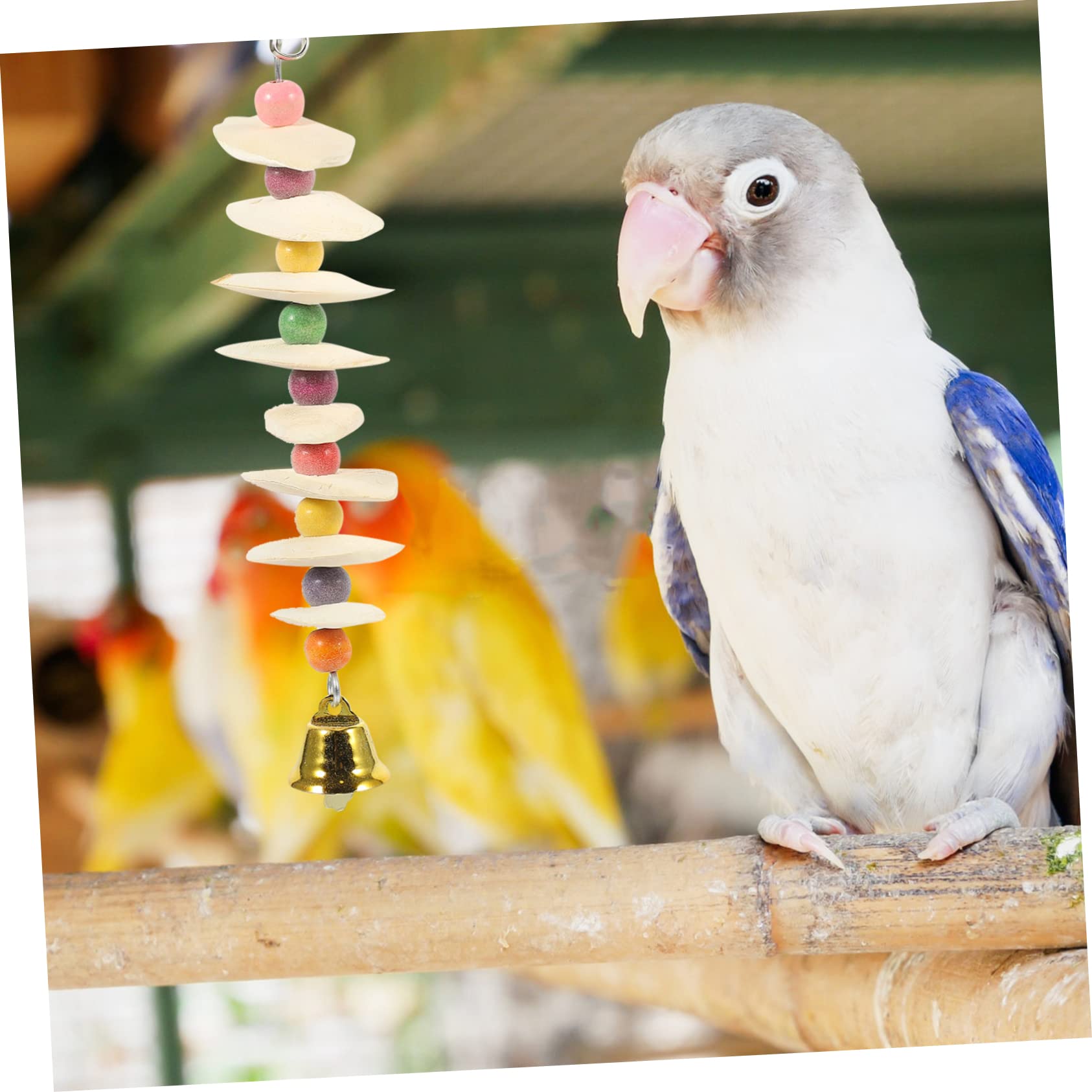 BESPORTBLE 5pezzi Giocattolo Per Uccelli Calcio Con Cuttlebone Per Pappagalli Giocattolo Masticabile Multi-funzionale Per Uccelli Sicuro e Resistente Per Pappagalli e Squirrels Gioco