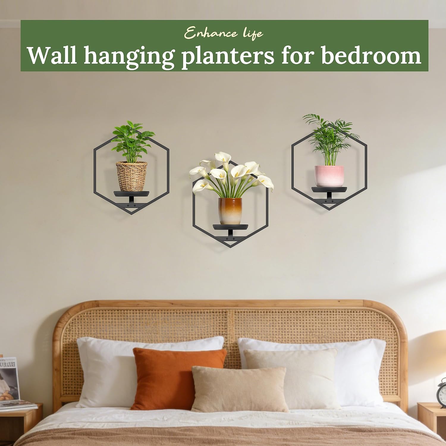 BXF Hexagon Floating Frame Plant Stand - 3 Pack Metal Wall Mounted Planters - Minimalist Geometric Hanging Decor for Indoor Succulents & Air Plants (Black, 3 Pack)