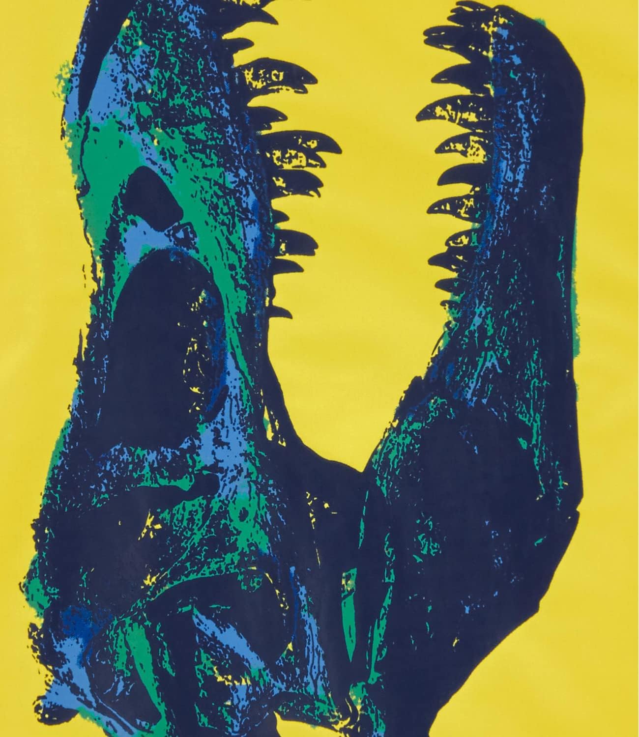 Carter's Boys' Rashguard 4 Yellow Blue Dinosaur