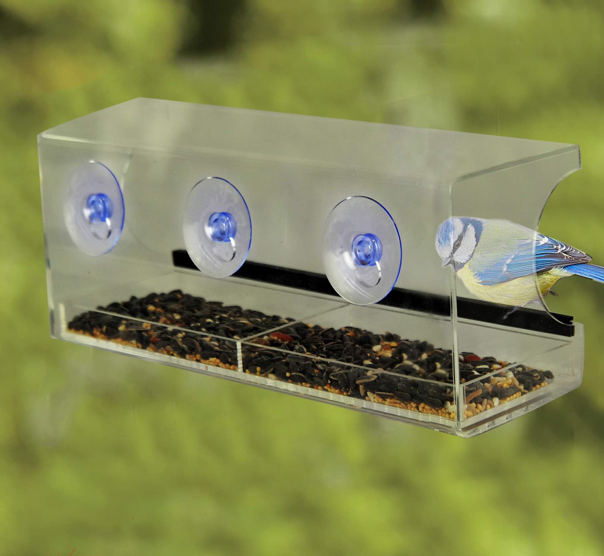 Redwood BB-BF111 Vogelfutterstation Fürs Fenster – Plexiglas, Mit Saugnapf, Zum Aufhängen