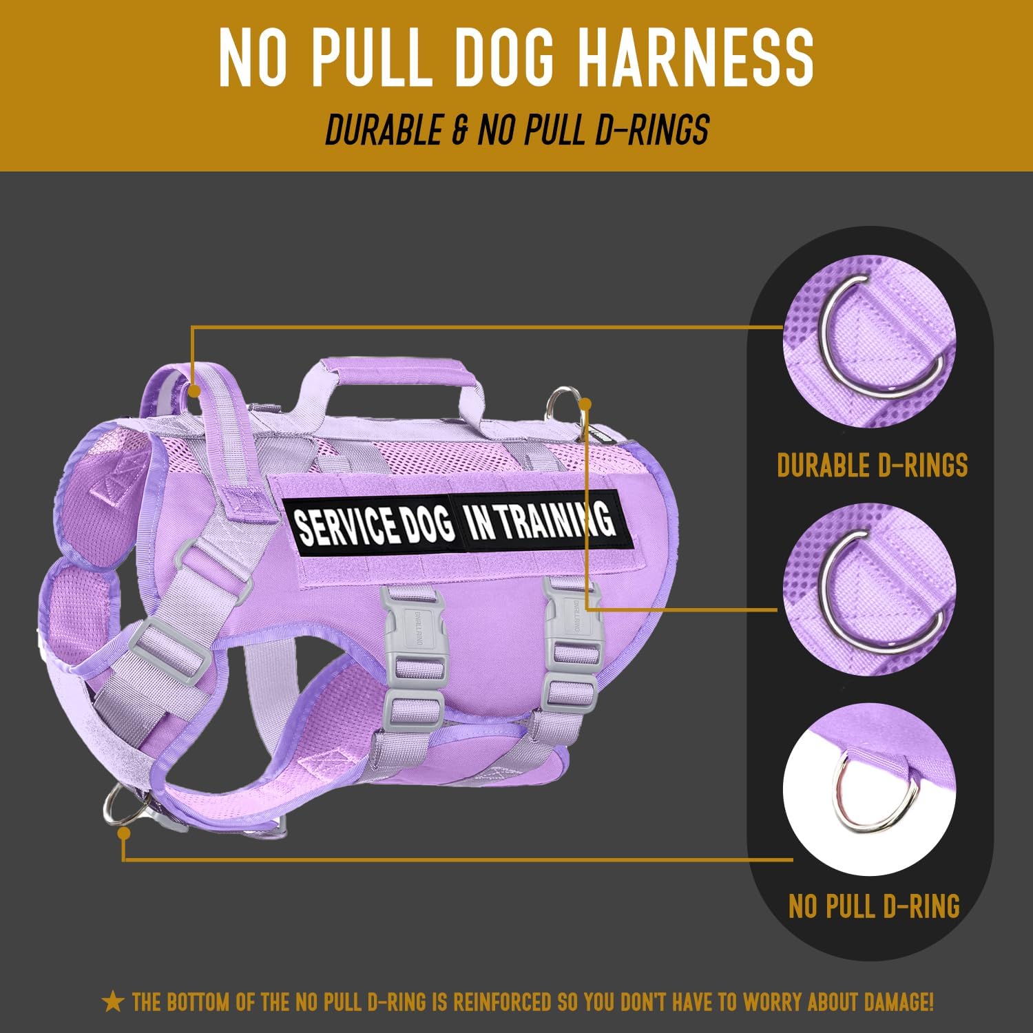 Service Dog Vest for Large Dogs, Purple Tactical Harness with Military MOLLE, Breathable Mesh & 39g Metal Buckle - Size M for Training & Hiking