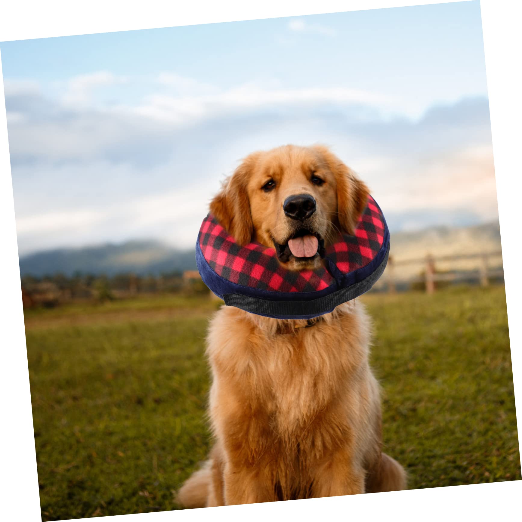 SUPVOX 3pezzi Collare Inflabile Per Per Cani e Gatti Protezione Comfort Per Dopo Intervento Design Innovativo Forma Di Donut Facile Da Indossare Leggero e Sicuro Per Evitare Leccate e