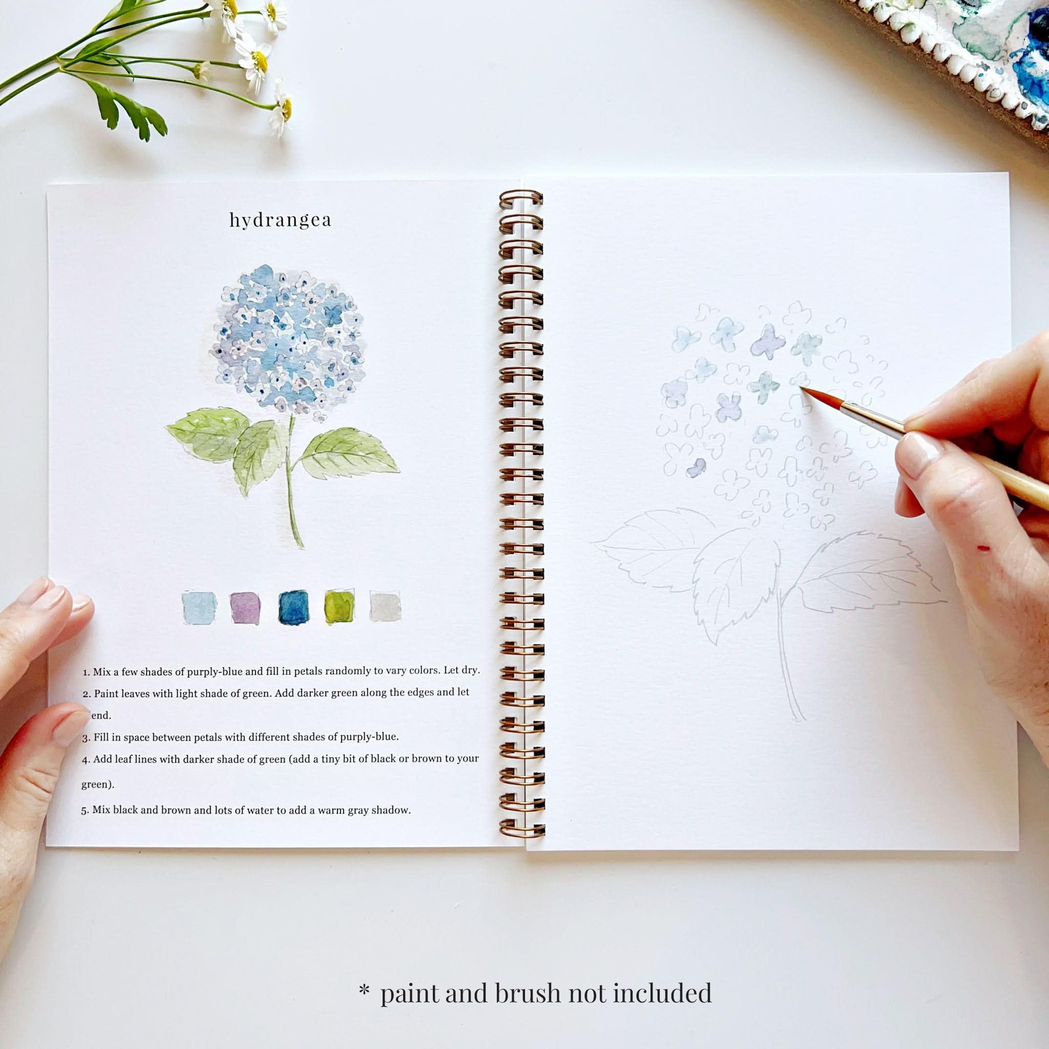 Emily Lex Studio Aquarell-Arbeitsbuch mit Blumen, 12 anfängerfreundliche skizzierte Illustrationen, flache Spiralseiten, 16,5 x 22,9 cm, 54,4 kg Aquarellpapier