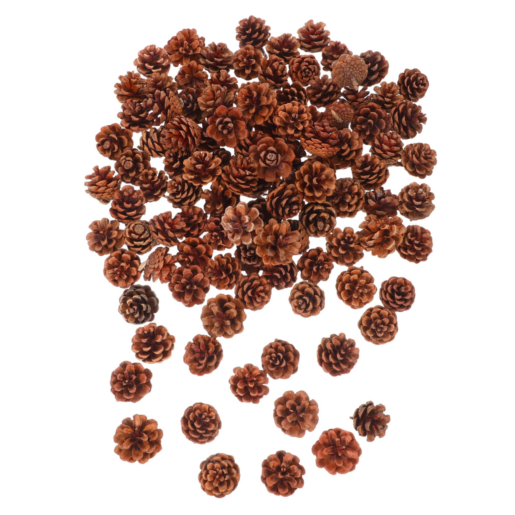 Garneck 130stücke Mini-kiefernzapfen aus Naturholz Mini-kiefernzapfen-Ornamente für Winter und Weihnachtsbasteleien Natürliche Tannenzapfen als Vasenfüller für DIY-Dekorationen