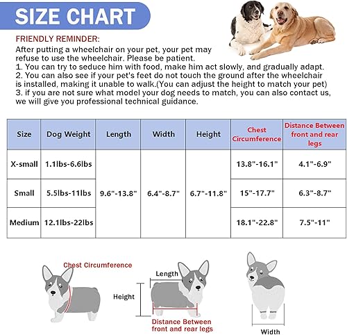 Miniatura 2 de Silla de ruedas para perros pequeños para patas traseras, ayuda de movilidad ajustable para mascotas con ruedas, soporte para patas de perro y