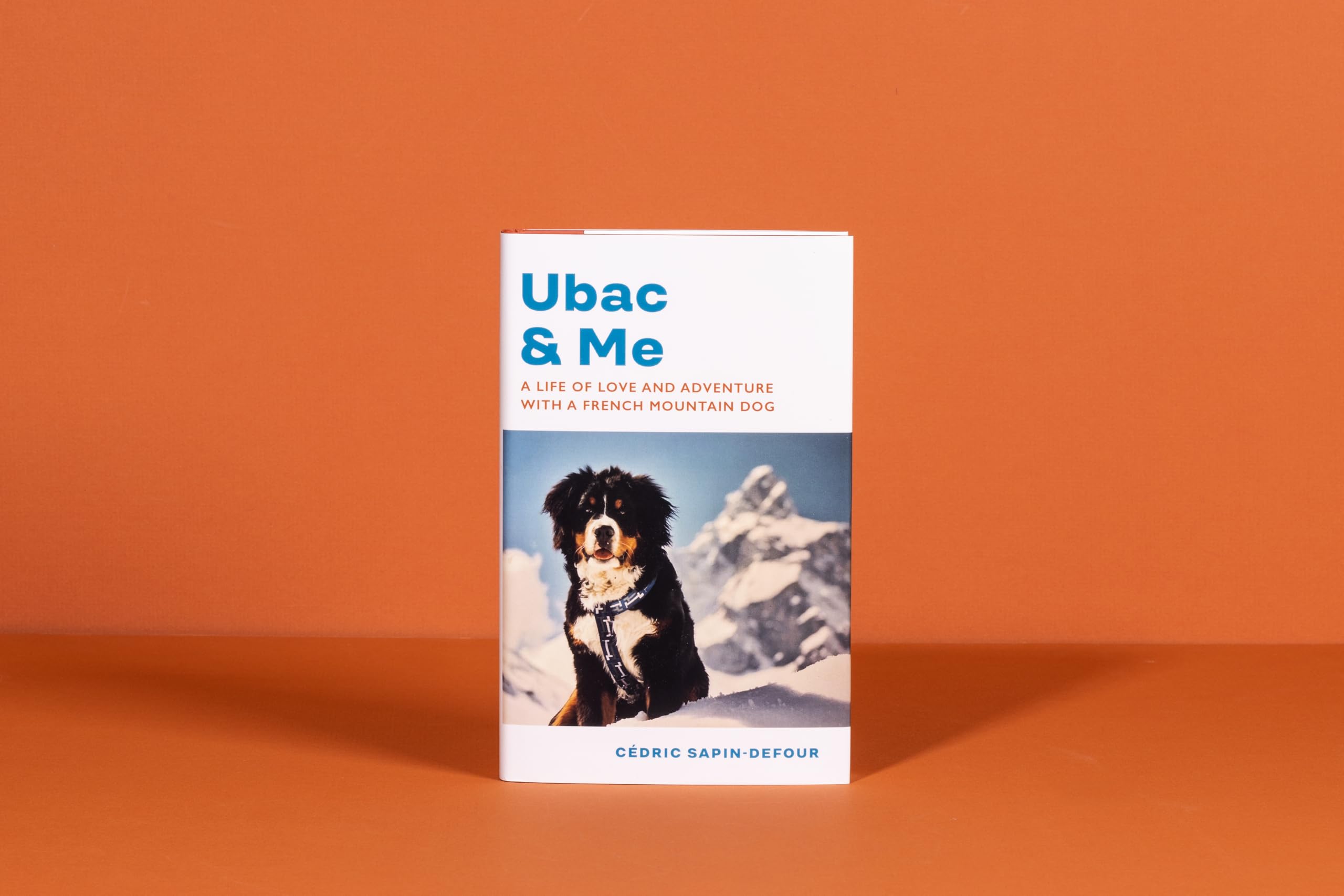 Ubac and Me: A Life of Love and Adventure With a French Mountain Dog