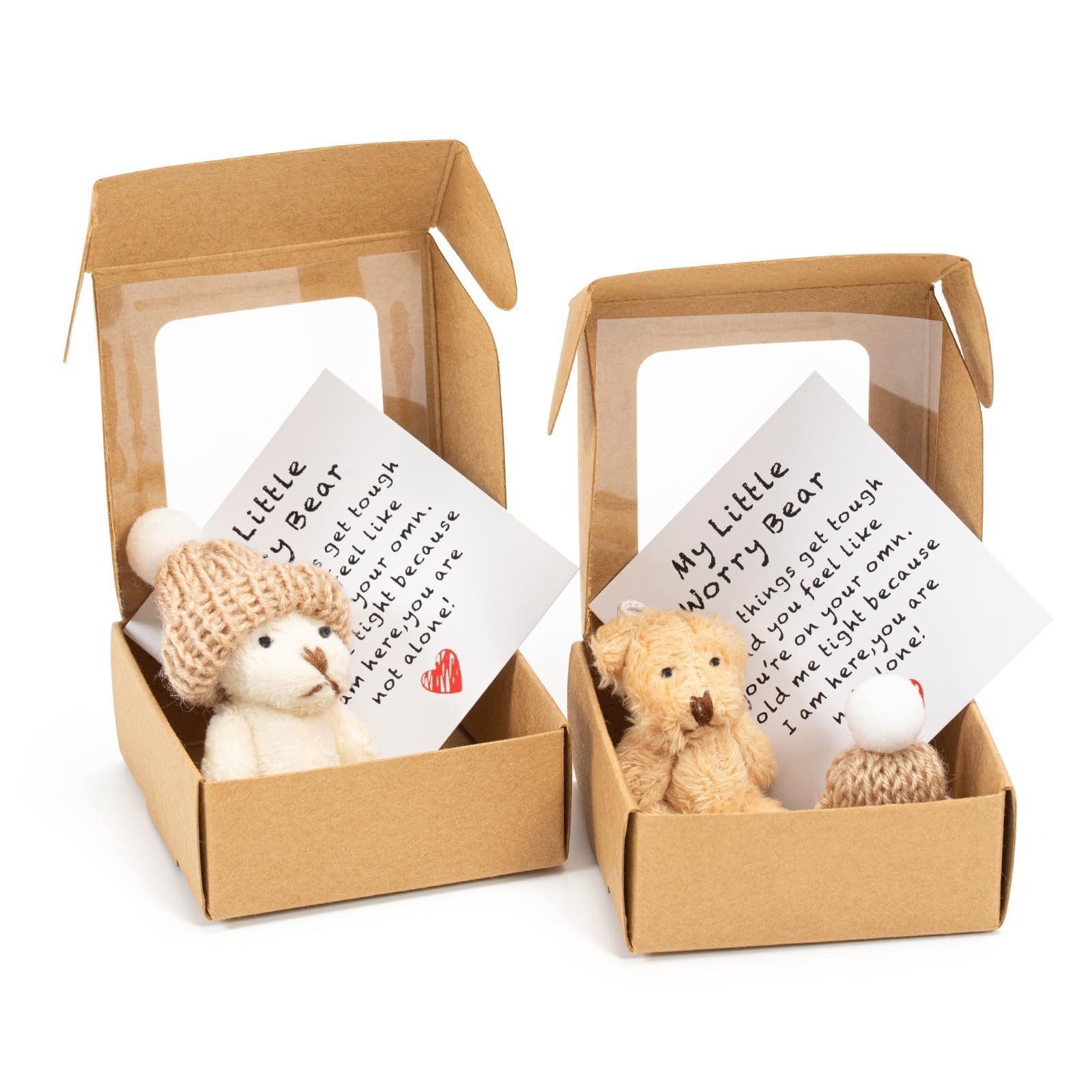 Zoruam 2 PCS My Little Worry Bear in a Box, Mini Plush Bears Set, Little Bear in a Box Gift for Friends Family Children, Decoration Positive with Cards & Hats (Brown & White)
