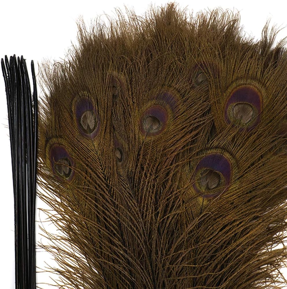 ZUCKER Large Ostrich Feather Fan - Vintage Costume Folding Hand Fan - Burlesque Showgirl Costume Decorative Fan for Women